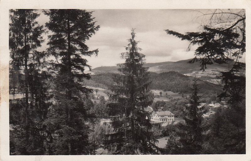MITTEL BETSCHWA