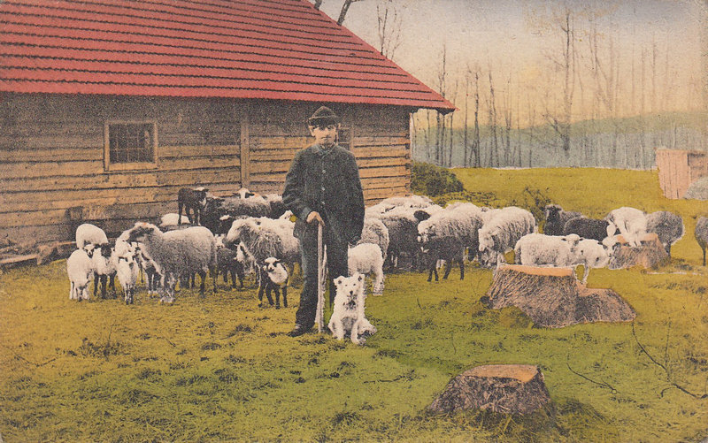 Slezské Bezkydy - Salaš