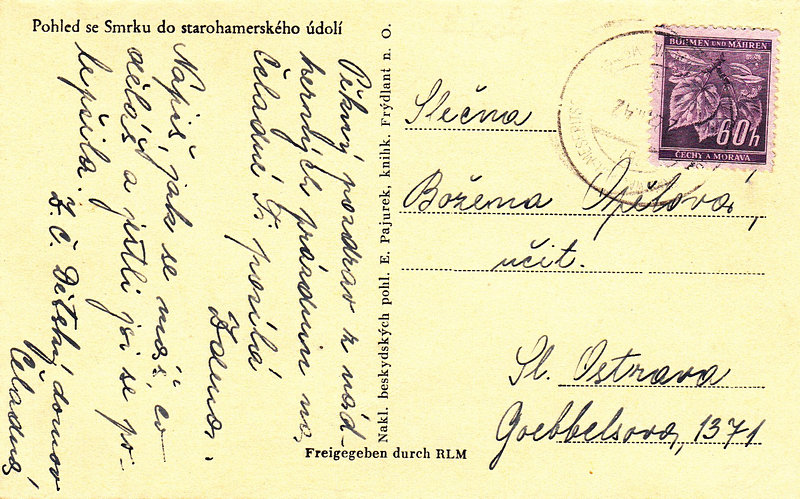 Pohled ze Smrku do starohamerského údolí