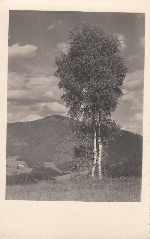 MORAVSKOSLEZSKÉ BESKYDY - Čubel