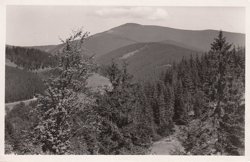 SLEZSKÉ BESKYDY - Pohled s Gruně na Lysou